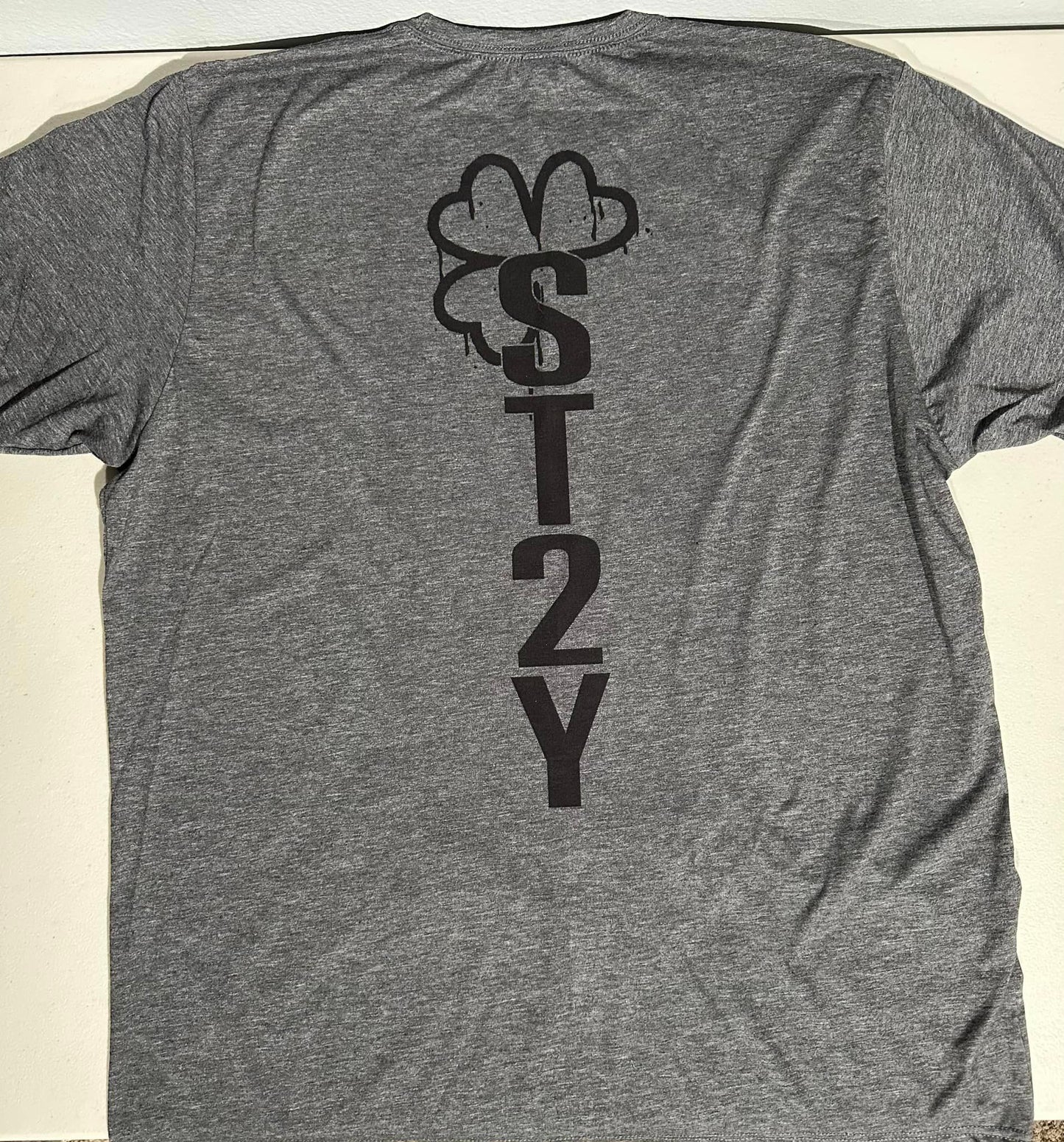 Logo von ST2Y